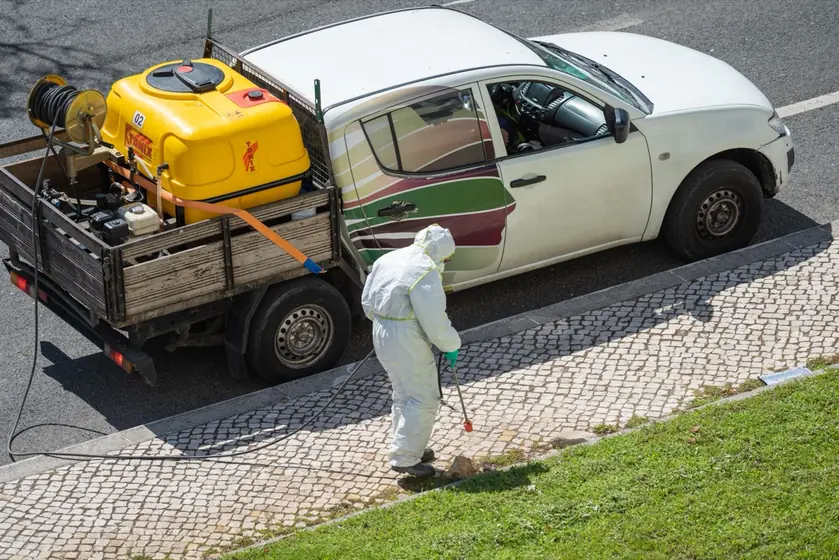 Pest Control