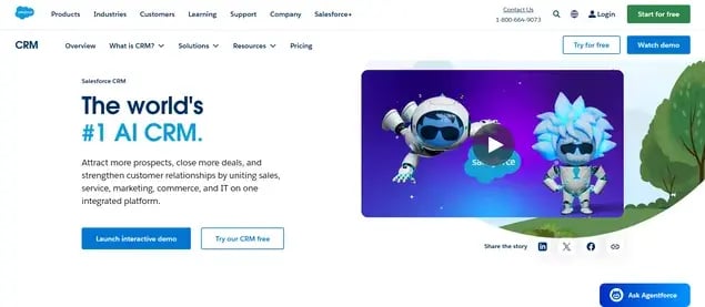 Salesforce website preview
