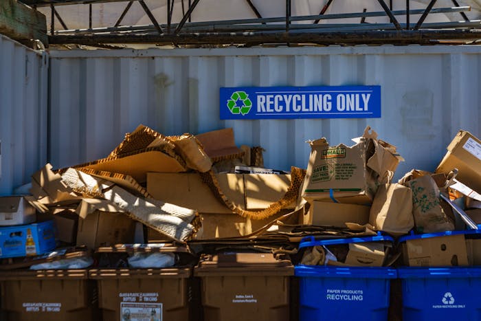 recycling-bins-with-carton